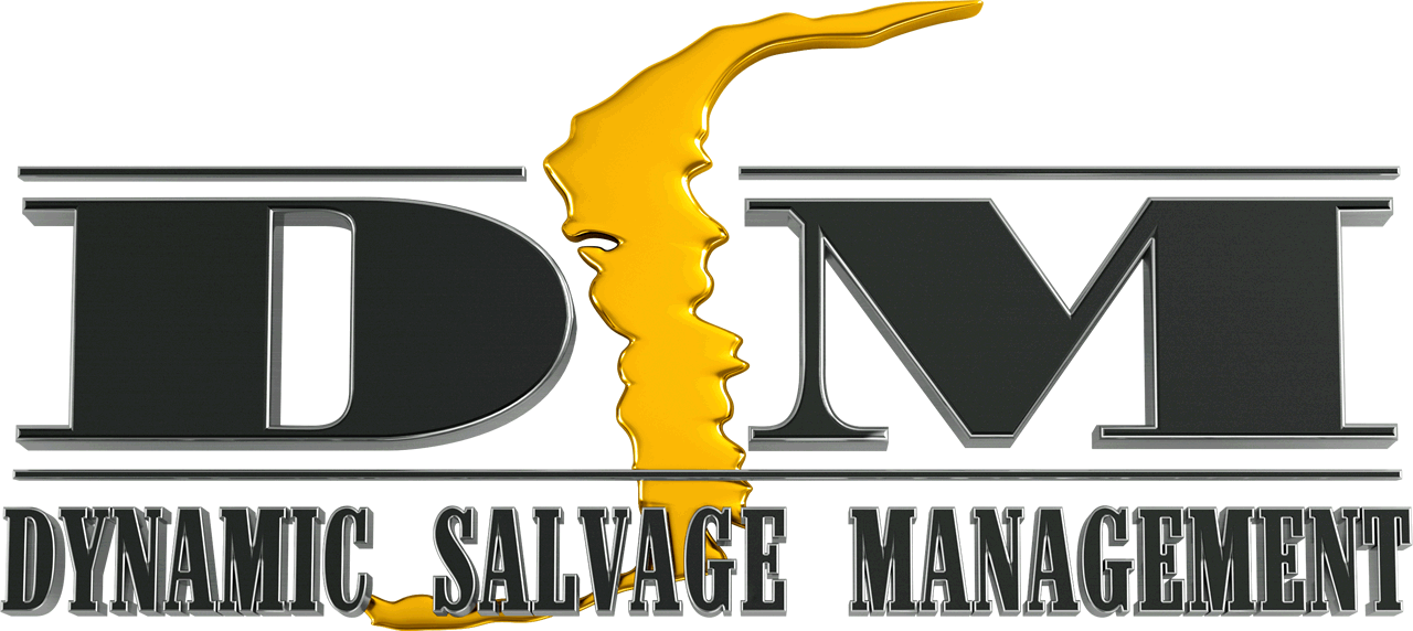 DSMlogo